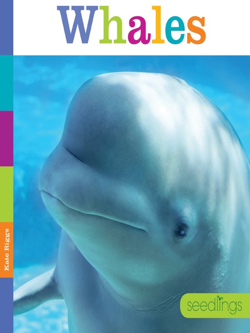 Cover image for Whales